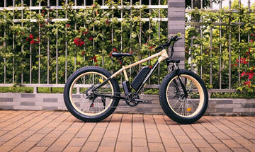 Electric Bike Winter Maintenance Guide!