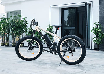 Why do I need an electric bike?