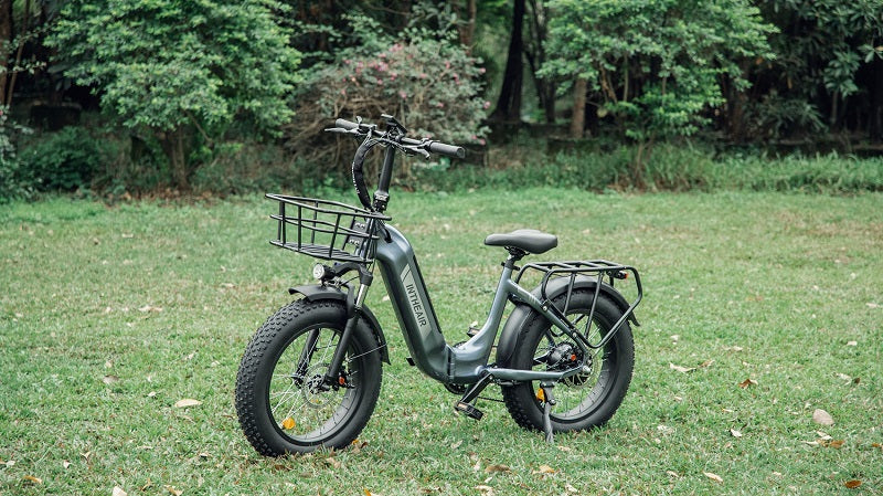 Interpretation of Electric Bike Performance
