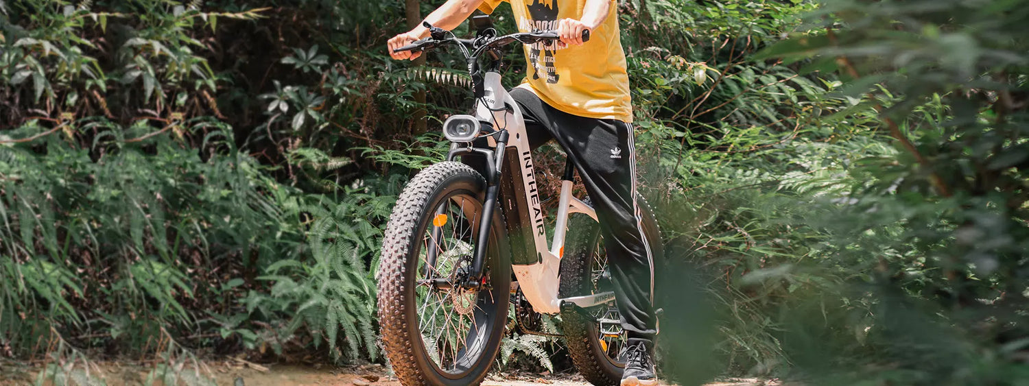 26"x4.0" All Terrain Step Thru 750W Fat Tire Electric Bike With Hydraulic Brake