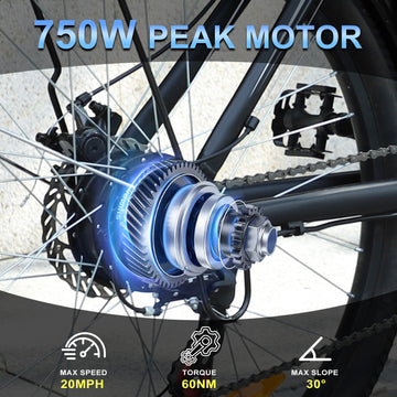 ZNH-02SR，750W 48V Electric Bike, 26 inch Electric Mountain Bicycle with Removable Battery,Up to 50Miles Range 20 MPH