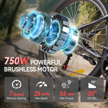 ZNH Electric Bike for Adults 750w - 26